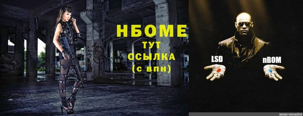 гашик Балахна