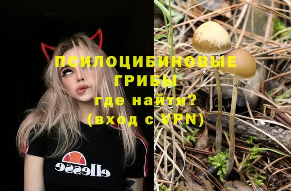 гашик Балахна