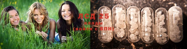гашик Балахна
