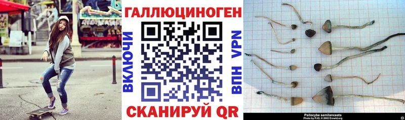 Галлюциногенные грибы мухоморы  Сорск 