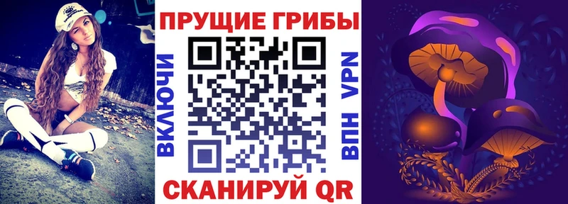 Галлюциногенные грибы прущие грибы Сорск